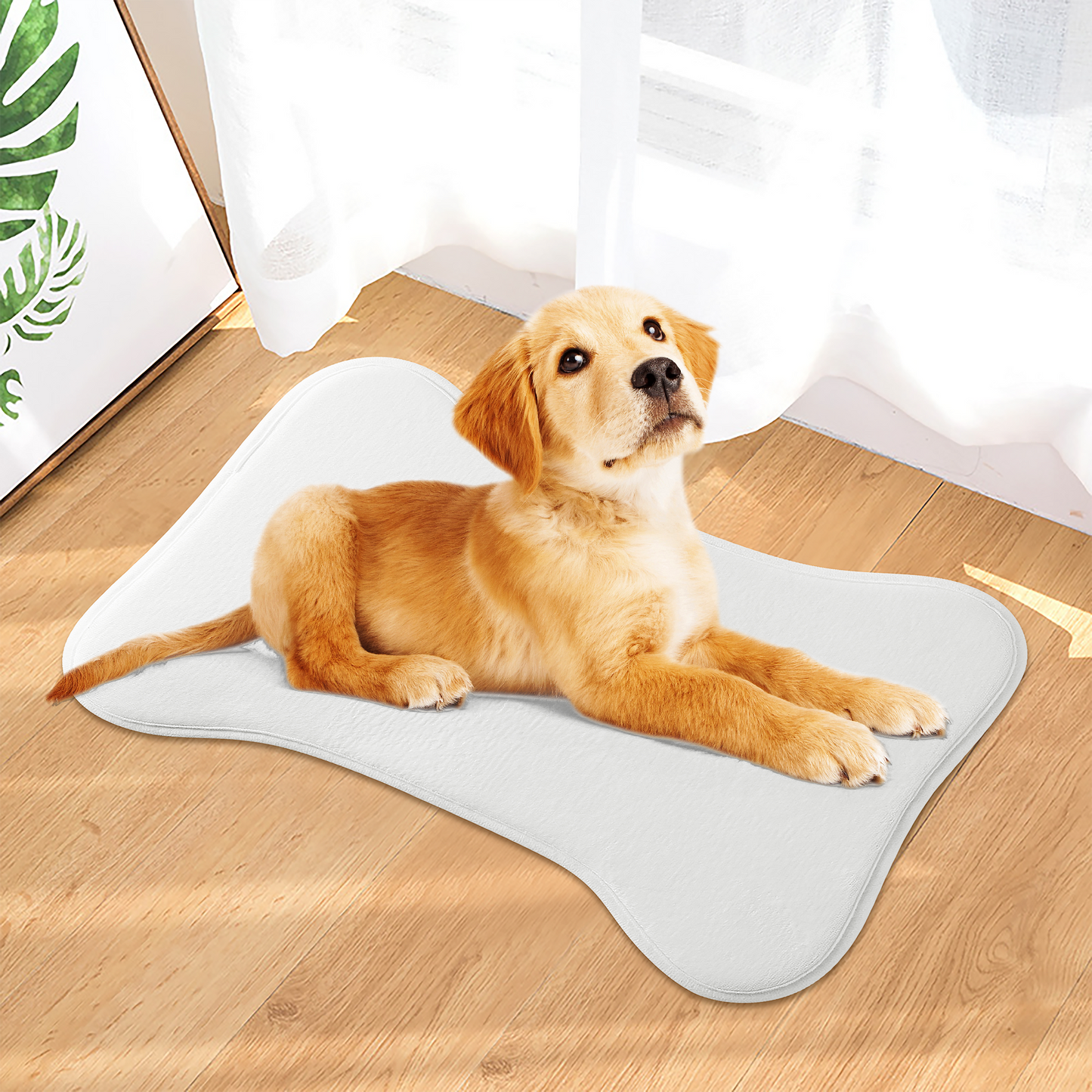 Big Paws Pet Rug